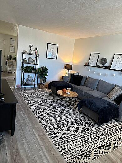 Living Room and Kitchen