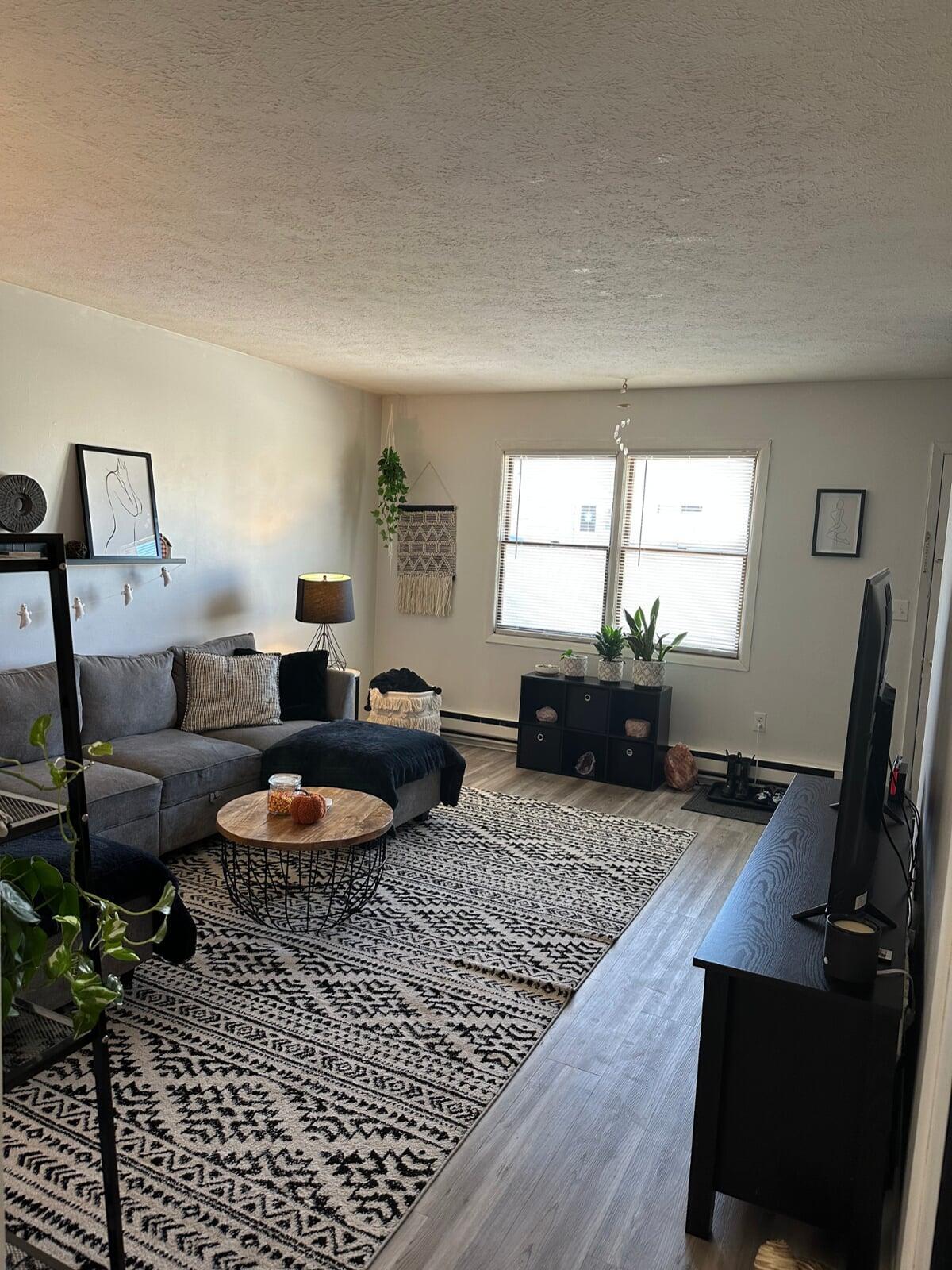 Spacious Living Room with New Flooring