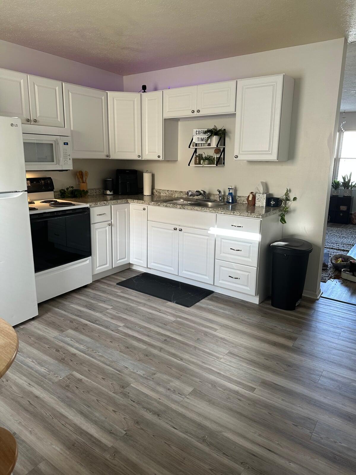 Updated Kitchen Appliances